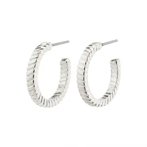 Ecstatic Silver Plated Hoops