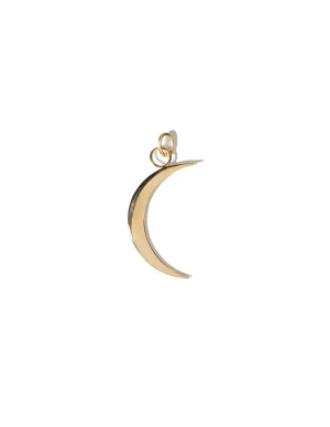 Lunar Pendant <br> Gold Vermeil